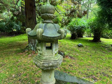 Taş fener, parlak yosun ve Japon bahçesinde düşen yapraklar.