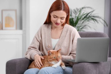 Kadın evdeki koltukta çalışırken kediyi okşuyor.