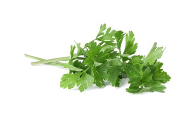 Beyaz maydanozlu taze maydanoz yaprakları.