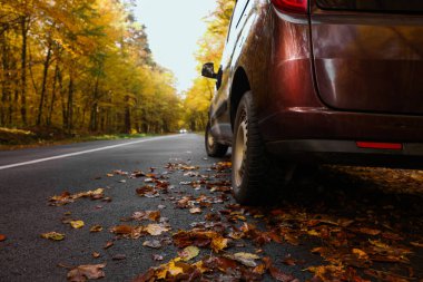 Sonbahar ormanı yakınlarında asfalt yolda modern araba, yakın plan.