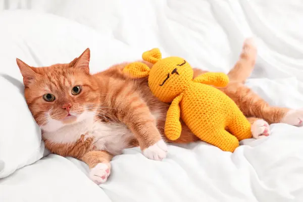 Cute ginger cat with crocheted bunny resting on bed
