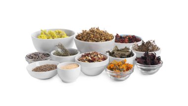 Bir çok farklı kuru ot ve çiçek kabı beyaza izole edilmiş.