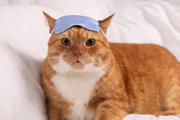 Cute ginger cat with sleep mask resting on bed