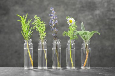 Temel yağlı şişeler ve gri desenli masa üzerindeki bitkiler.