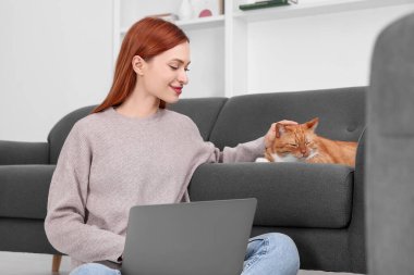 Evde dizüstü bilgisayarla çalışan bir kadın kediyi okşuyor.