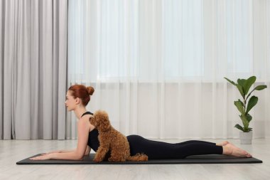 Kapalı alanda sevimli köpeğiyle yoga yapan genç bir kadın.