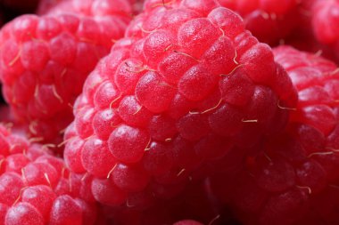 Many fresh ripe raspberries as background, closeup