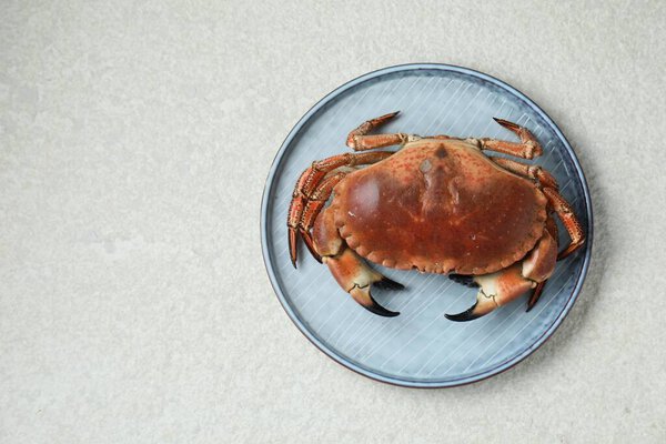 Delicious boiled crab on white textured table, top view. Space for text