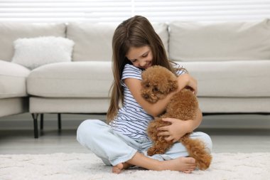 Evde halı üzerinde şirin köpek yavrusu olan küçük bir çocuk. Sevimli hayvan