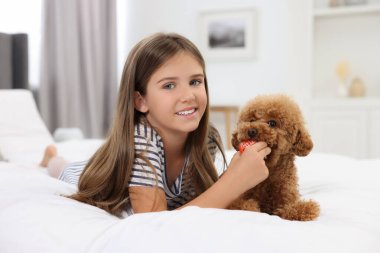 Küçük çocuk evde tatlı bir köpek yavrusuyla oynuyor. Sevimli hayvan