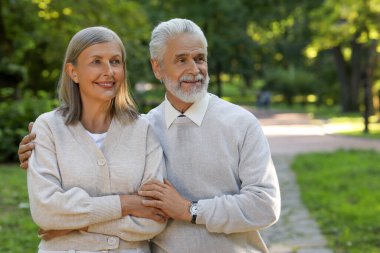 Sevecen son sınıf çifti parkta birlikte vakit geçiriyorlar, mesajlaşmak için yer var. Romantik randevu