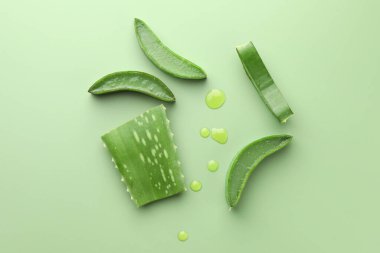 Yeşil zemin üzerinde taze aloe vera parçaları, düz yatıyordu