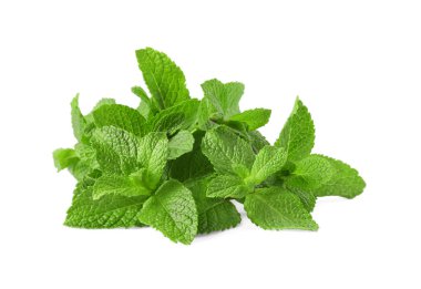 Taze yeşil nane yaprakları beyazda izole.