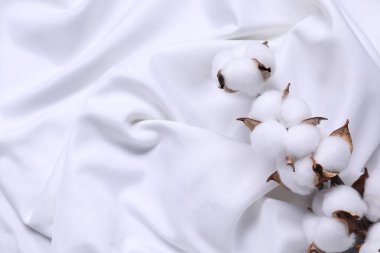 Beyaz kumaşlı, kabarık çiçekli pamuk dalı, üst manzara. Metin için boşluk