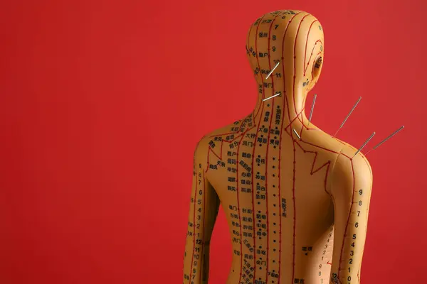 Acupuncture - alternative medicine. Human model with needles in head and shoulder on red background, space for text