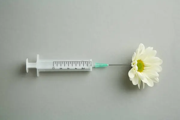 Медичний Шприц Красива Квітка Хризантеми Сірому Фоні Вид Зверху — стокове фото