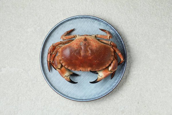 Delicious boiled crab on white textured table, top view