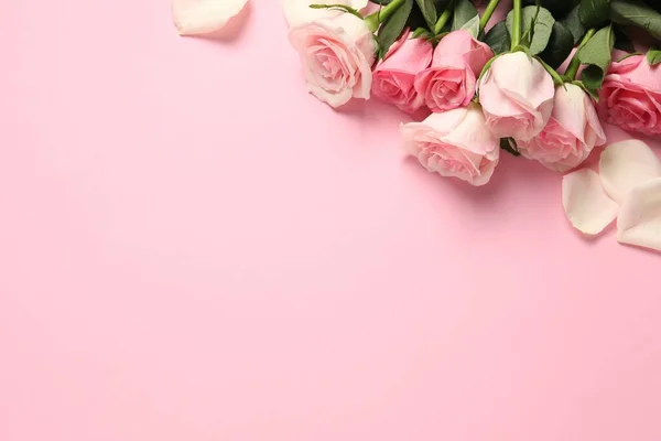 Όμορφα Τριαντάφυλλα Και Πέταλα Ροζ Φόντο Κορυφαία Θέα Χώρος Για — Φωτογραφία Αρχείου