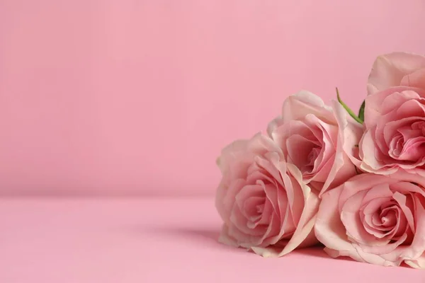 Hermosas Rosas Sobre Fondo Rosa Primer Plano Espacio Para Texto — Foto de Stock