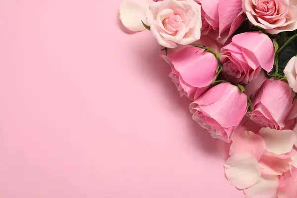 Hermosas Rosas Pétalos Sobre Fondo Rosa Vista Superior Espacio Para — Foto de Stock