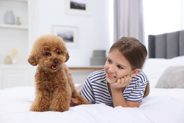 Evdeki yatakta küçük bir çocuk ve sevimli bir köpek yavrusu. Sevimli hayvan