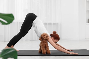 Kapalı alanda sevimli köpeğiyle yoga yapan genç bir kadın.