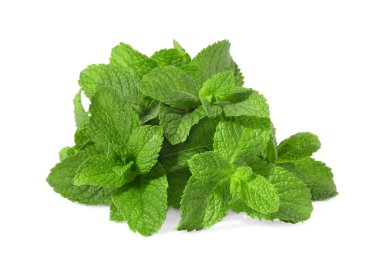 Taze yeşil nane yaprakları beyazda izole.