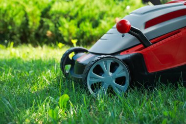 Bahçedeki yeşil çimlerin üzerinde çim biçme makinesi, yakın plan. Metin için boşluk