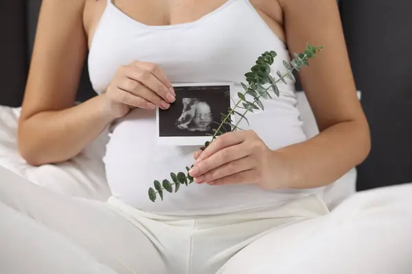 Pregnant woman with ultrasound picture of baby and plant twig on bed, closeup