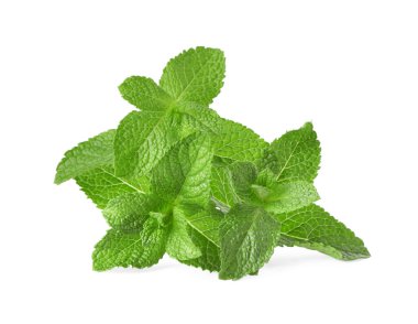 Taze yeşil nane yaprakları beyazda izole.