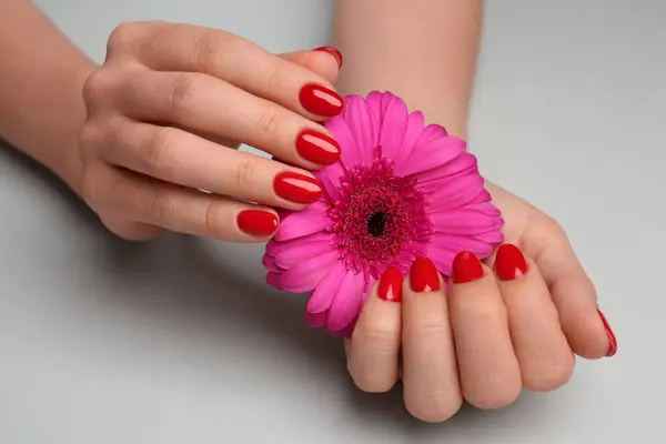 Woman with red polish on nails touching flower on white background, closeup
