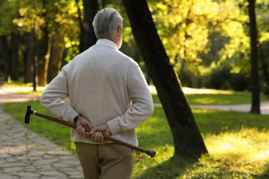 Park 'ta bastonlu son sınıf öğrencisi. Metin için boşluk