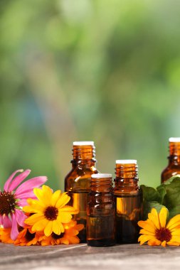 Bottles with essential oils and flowers on wooden table against blurred green background. Space for text clipart