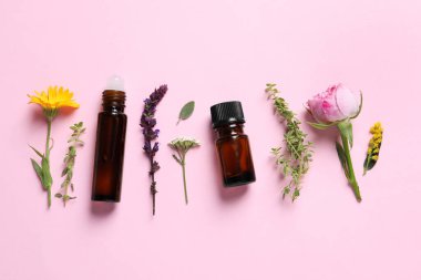 Bottles of essential oils, different herbs and flowers on pink background, flat lay clipart