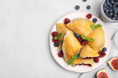 Lezzetli samosalar, nane yaprakları ve böğürtlen tabağı. Metin için boşluk