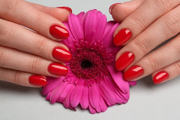 Woman with red polish on nails touching flower on white background, closeup
