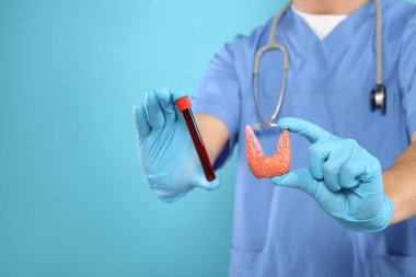 Endokrinolojist tiroid bezi modeli ve açık mavi arka planda kan örneği gösteriyor. Yakın plan. Metin için boşluk