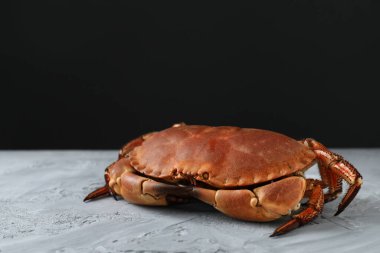 Gri desenli masada leziz haşlanmış yengeç, metin için yer.