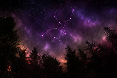 Virgo constellation in starry sky over conifer forest at night, low angle view clipart