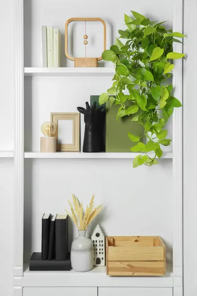 White shelves with books, plants and different decor indoors. Interior design