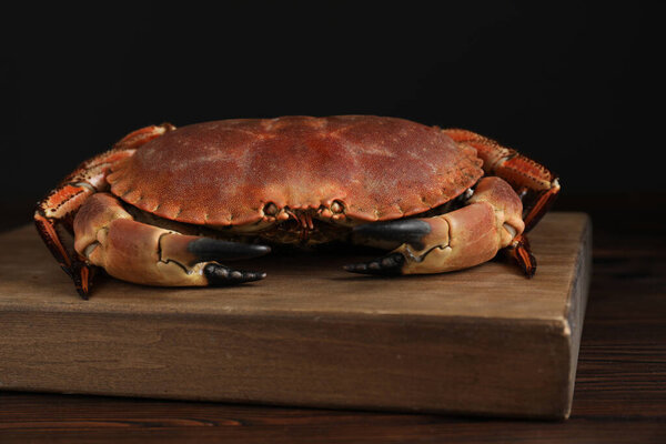 One delicious boiled crab on wooden table