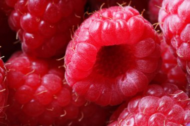 Many fresh ripe raspberries as background, closeup