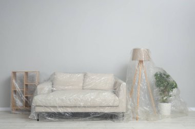 Koltuk, raf ünitesi, lamba ve kapalı alandaki ışık duvarının yanında plastik film ile kaplı ev bitkisi. Metin için boşluk