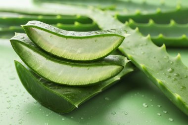 Yeşil arkaplanda taze aloe vera parçaları, yakın plan