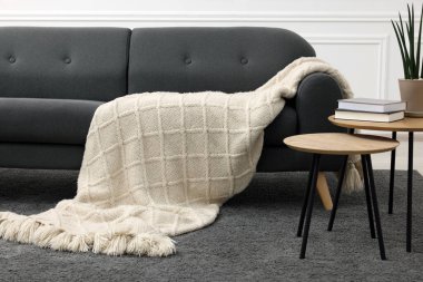 Rahat kanepe, battaniye ve yuva masaları olan şık bir oturma odası.