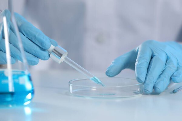 Scientist dripping liquid from pipette into petri dish in laboratory, closeup