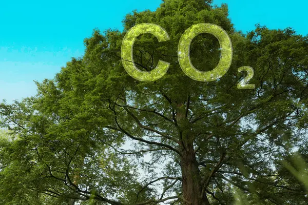 명확한 공기의 이산화탄소 인쇄와 — 스톡 사진