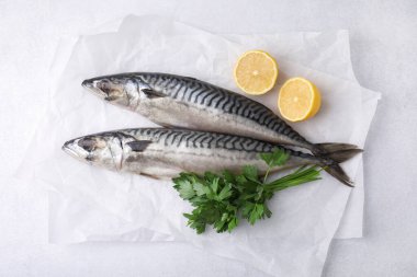 Lezzetli tuzlu uskumrular, maydanoz ve ışık masasında limon dilimleri.