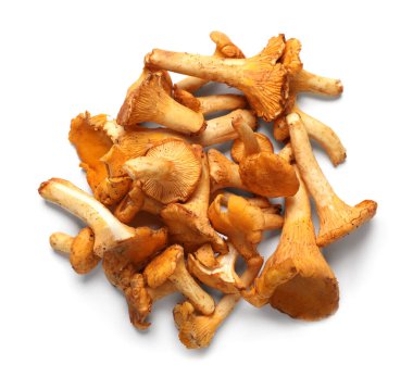 Taze chanterelle mantarları beyaz, üst görünümde izole