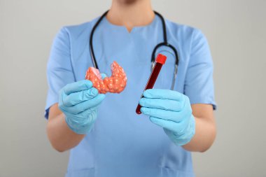 Endokrinolojist tiroid bezi modeli ve açık gri arka planda kan örneği gösteriyor.